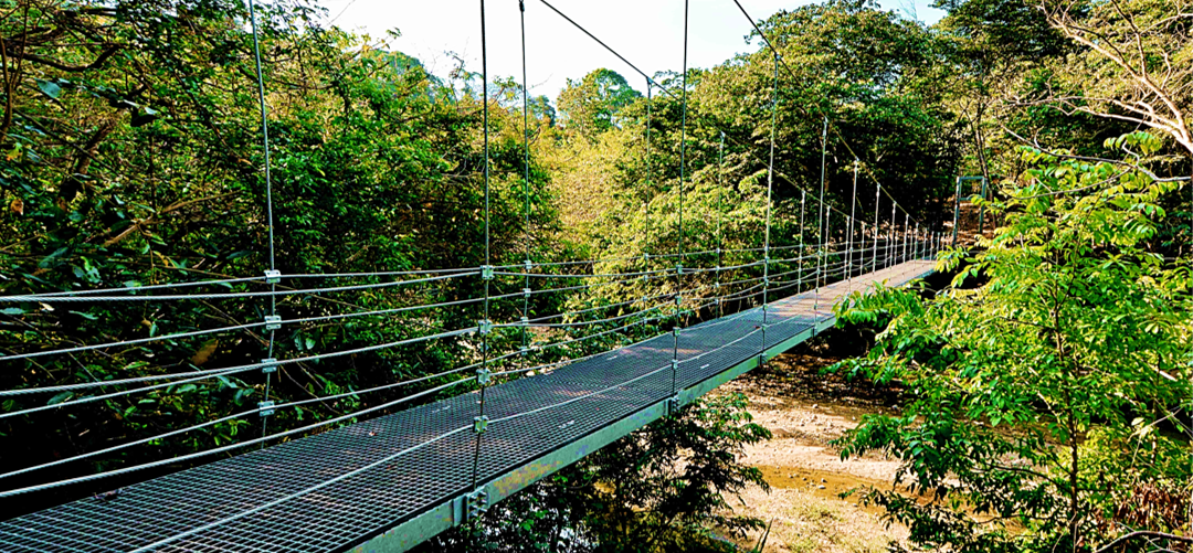 Ecoproparks. Puente de metal de Ecoproparks.