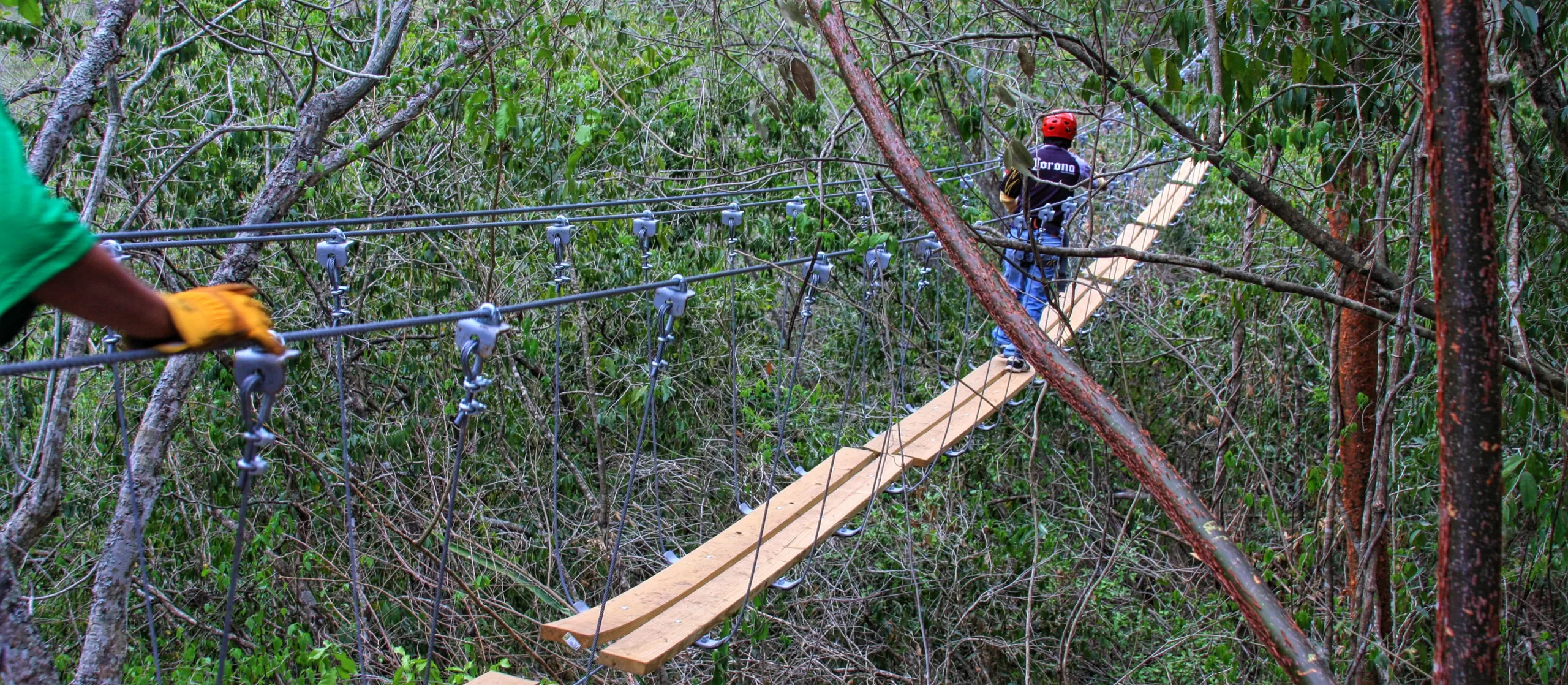 Ecoproparks. Puente de madera en Villa de las Flores.