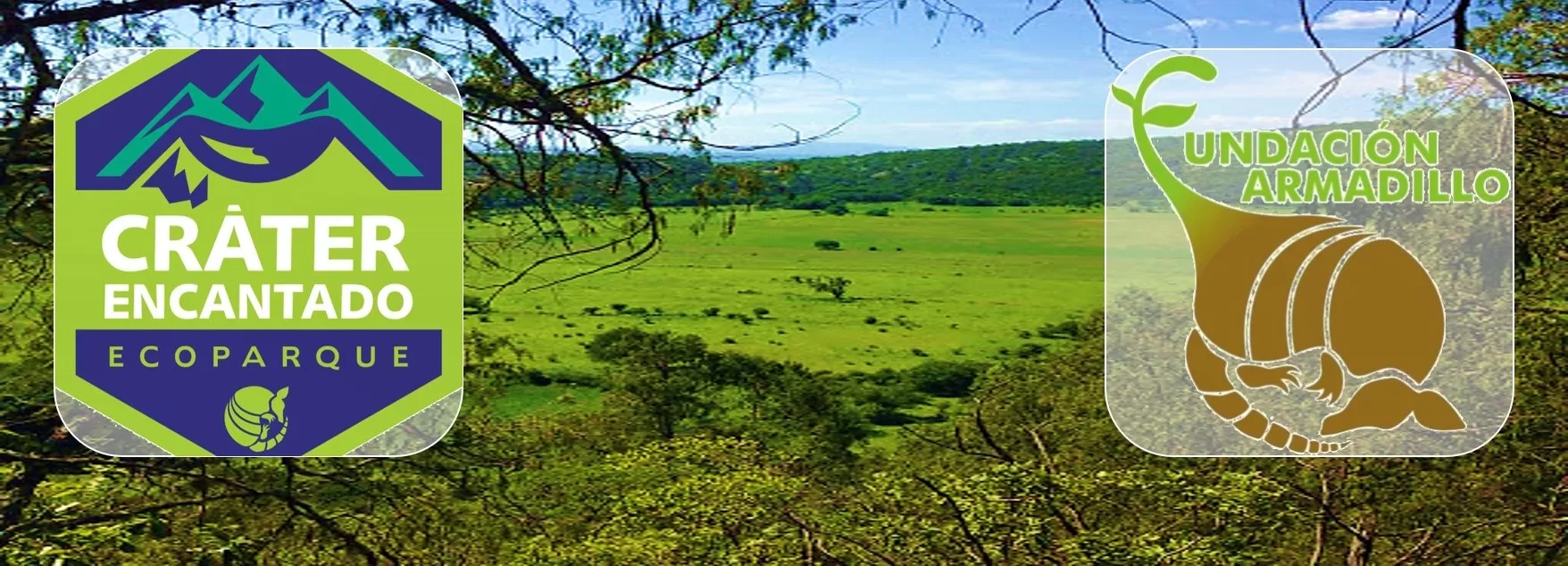 Ecoproparks. Banner de Crater.