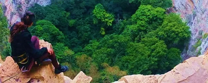 Ecoproparks. Vista paronámica desde la sima de una montaña de un bosque muy poblado.