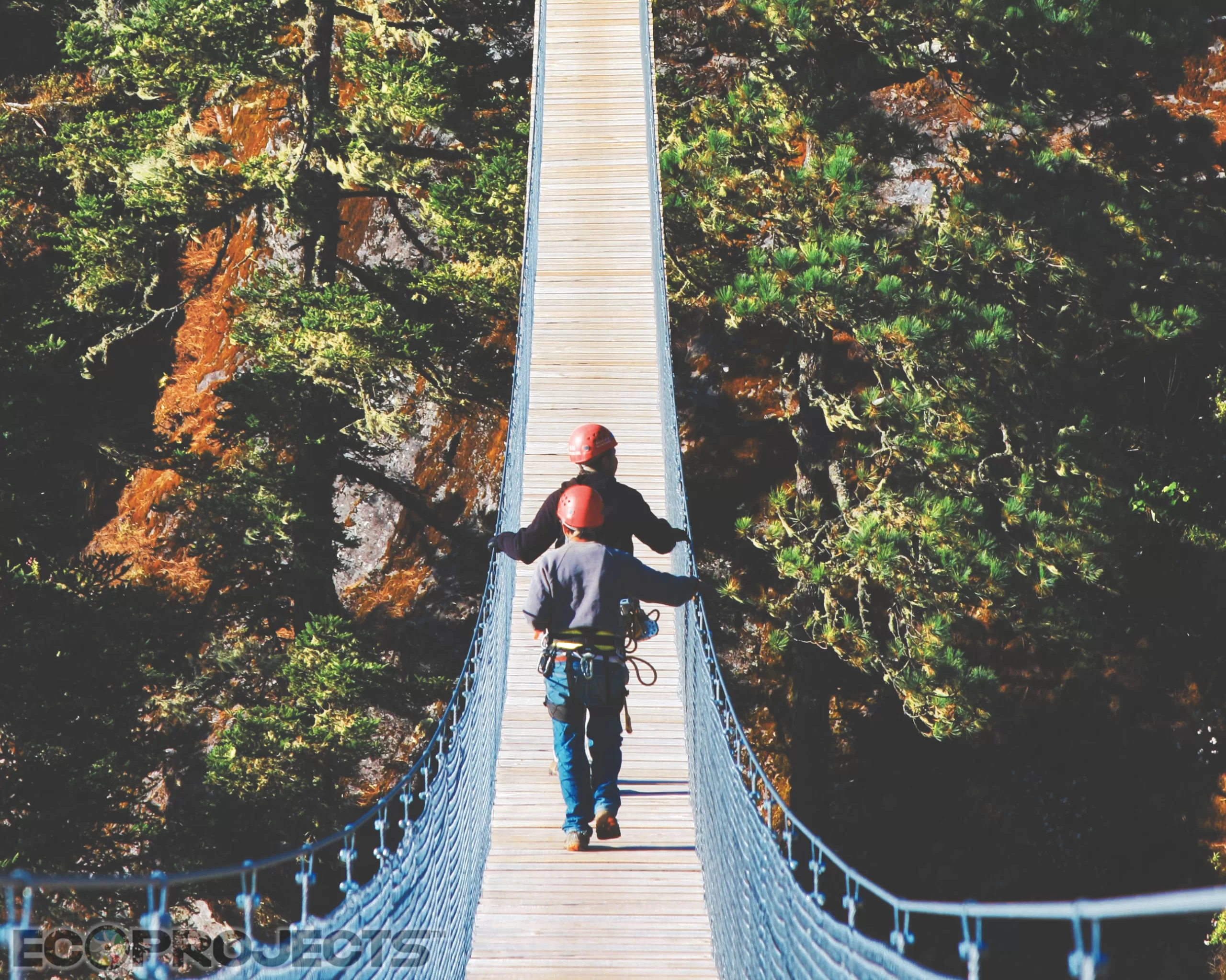 COMO INICIAR UN NEGOCIO DE ECOTURISMO y no «morir» en el intento